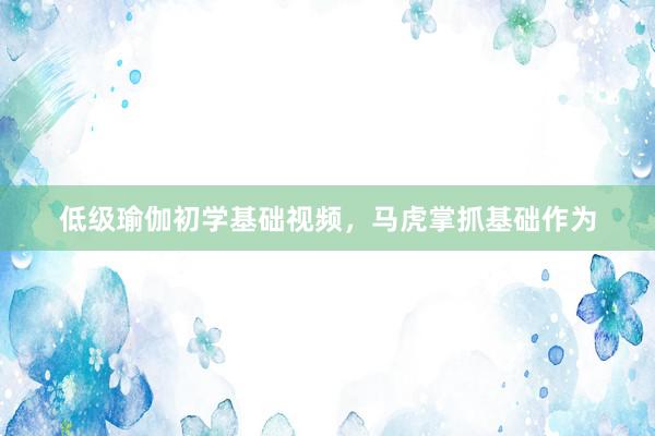 低级瑜伽初学基础视频，马虎掌抓基础作为